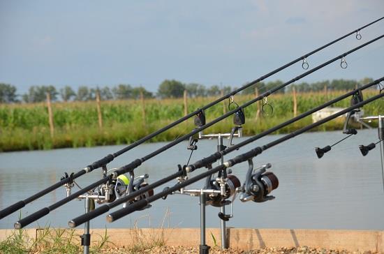 BIP! Alegerea setului de avertizori de crap.